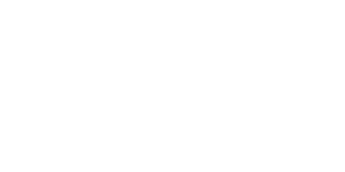 GUARDIAN