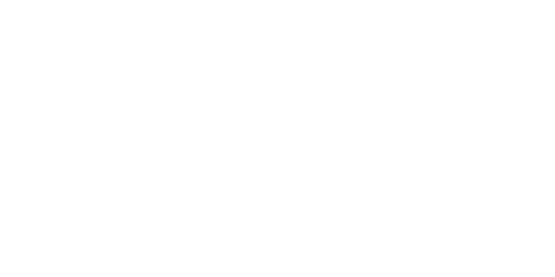 VISIONLIFE